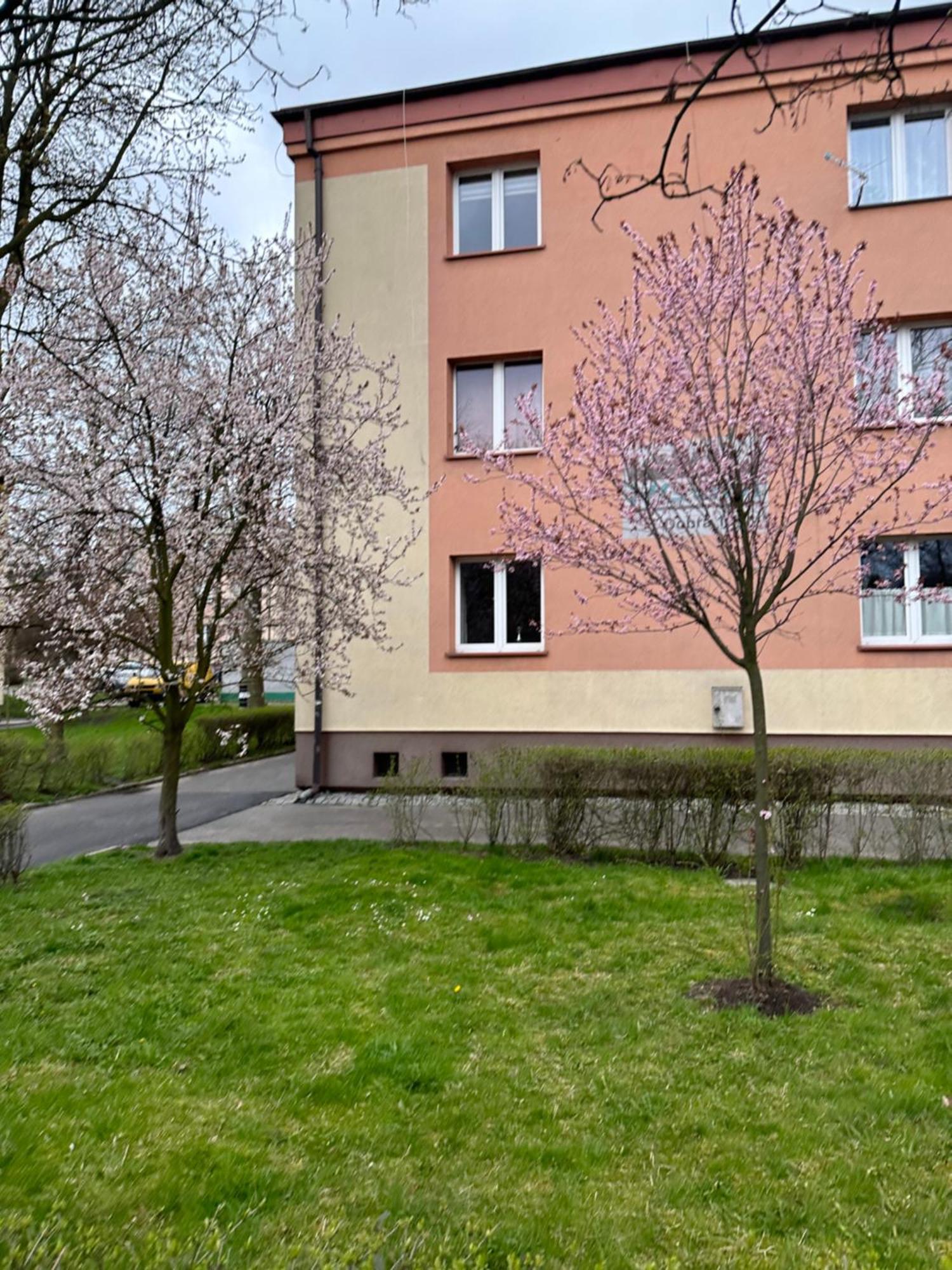 Dobra 19 Appartement Katowice Buitenkant foto